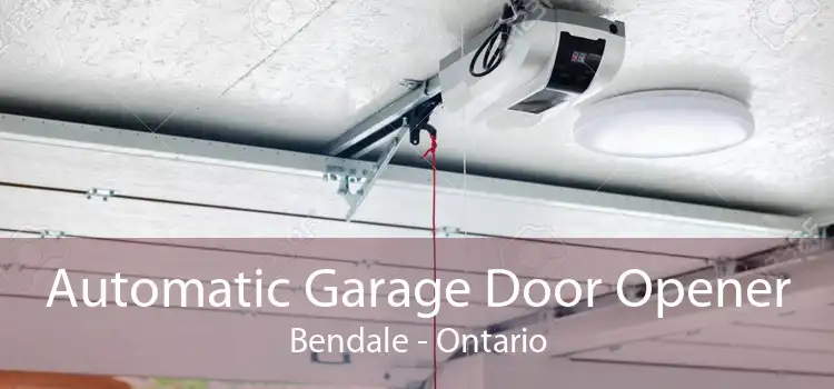 Automatic Garage Door Opener Bendale - Ontario