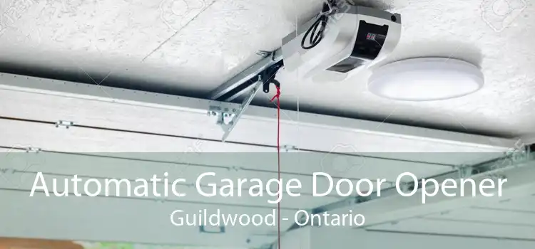 Automatic Garage Door Opener Guildwood - Ontario