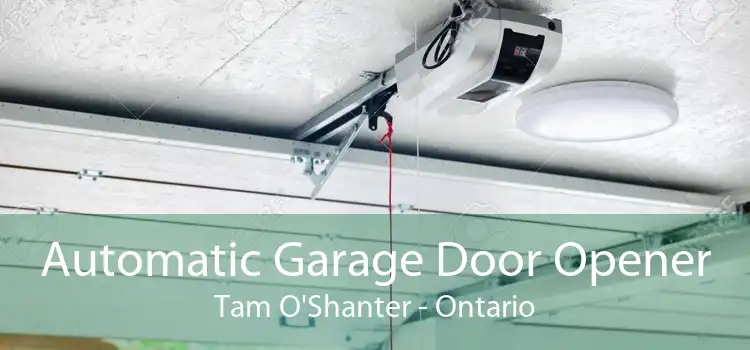 Automatic Garage Door Opener Tam O'Shanter - Ontario