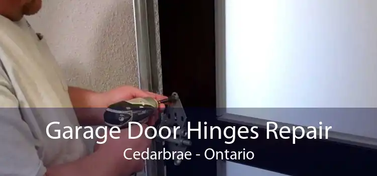 Garage Door Hinges Repair Cedarbrae - Ontario