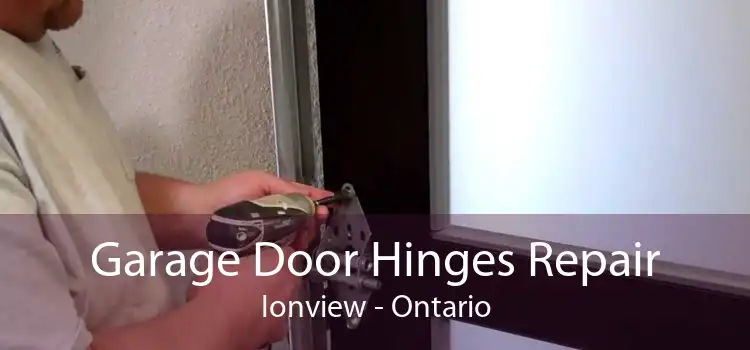 Garage Door Hinges Repair Ionview - Ontario
