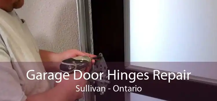 Garage Door Hinges Repair Sullivan - Ontario