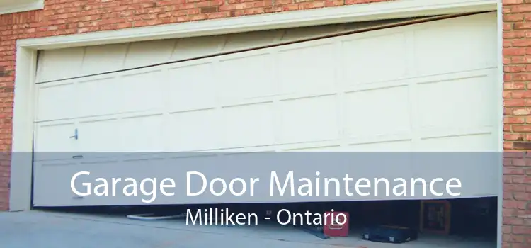 Garage Door Maintenance Milliken - Ontario