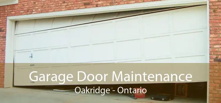 Garage Door Maintenance Oakridge - Ontario