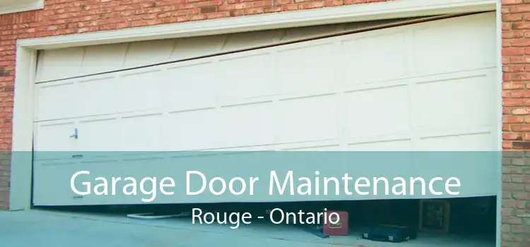 Garage Door Maintenance Rouge - Ontario