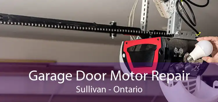 Garage Door Motor Repair Sullivan - Ontario