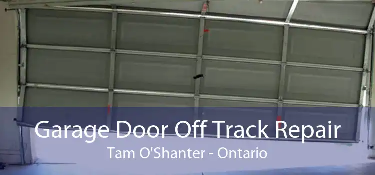 Garage Door Off Track Repair Tam O'Shanter - Ontario