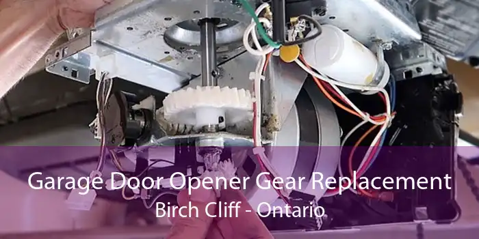 Garage Door Opener Gear Replacement Birch Cliff - Ontario