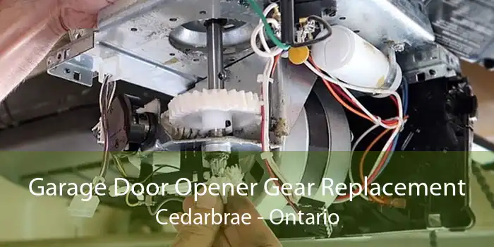 Garage Door Opener Gear Replacement Cedarbrae - Ontario