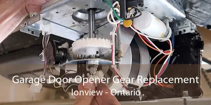 Garage Door Opener Gear Replacement Ionview - Ontario