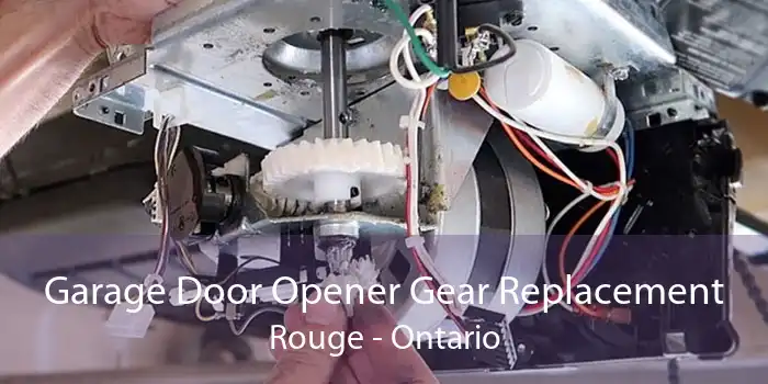 Garage Door Opener Gear Replacement Rouge - Ontario