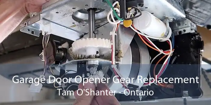 Garage Door Opener Gear Replacement Tam O'Shanter - Ontario