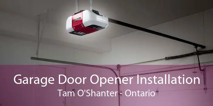 Garage Door Opener Installation Tam O'Shanter - Ontario