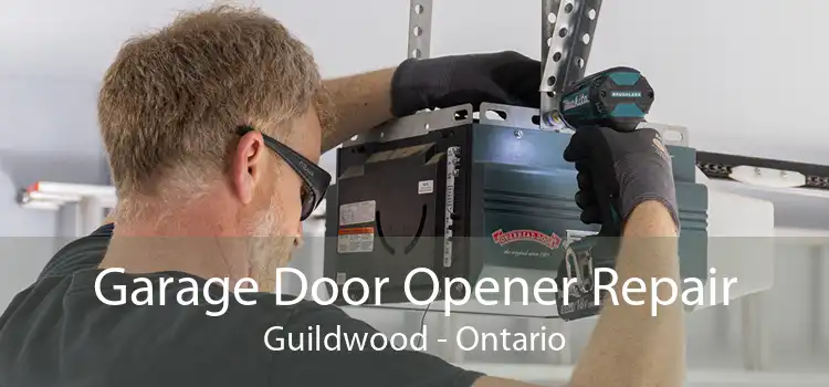 Garage Door Opener Repair Guildwood - Ontario