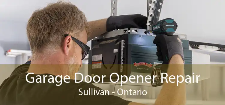 Garage Door Opener Repair Sullivan - Ontario