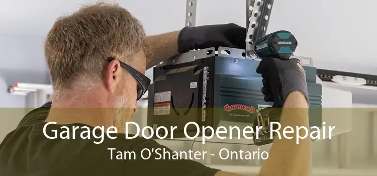 Garage Door Opener Repair Tam O'Shanter - Ontario