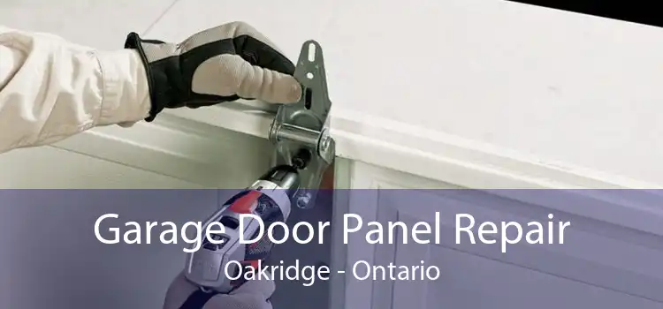 Garage Door Panel Repair Oakridge - Ontario