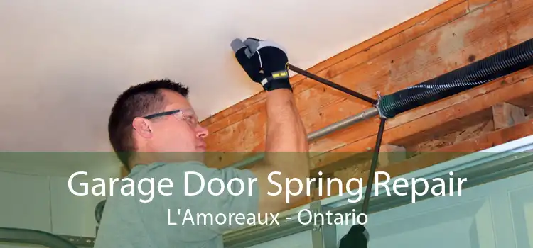 Garage Door Spring Repair L'Amoreaux - Ontario