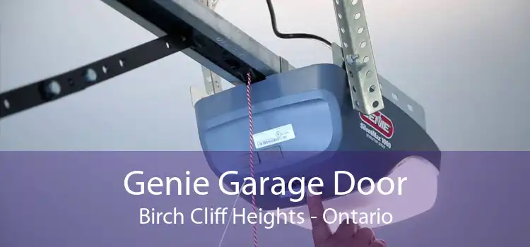 Genie Garage Door Birch Cliff Heights - Ontario