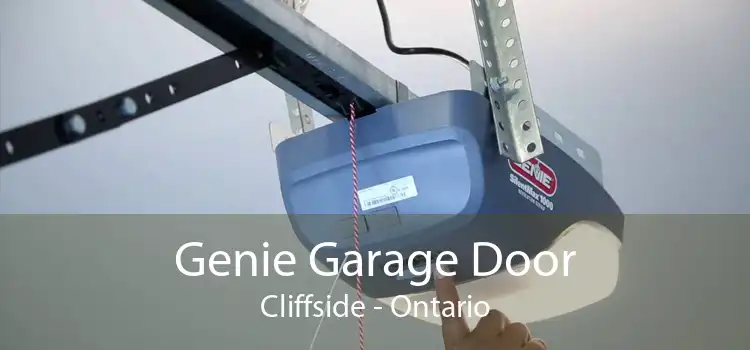 Genie Garage Door Cliffside - Ontario