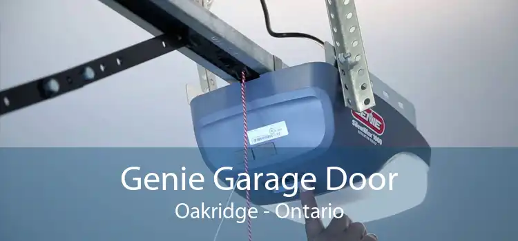 Genie Garage Door Oakridge - Ontario