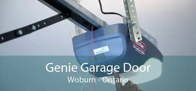 Genie Garage Door Woburn - Ontario