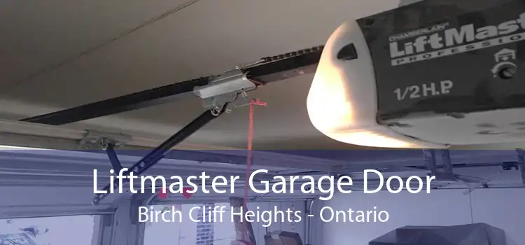 Liftmaster Garage Door Birch Cliff Heights - Ontario