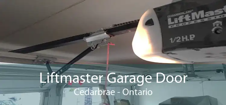 Liftmaster Garage Door Cedarbrae - Ontario