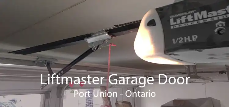 Liftmaster Garage Door Port Union - Ontario