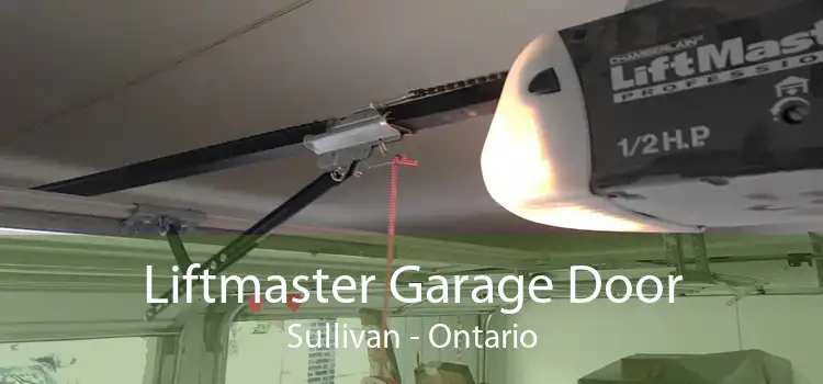 Liftmaster Garage Door Sullivan - Ontario