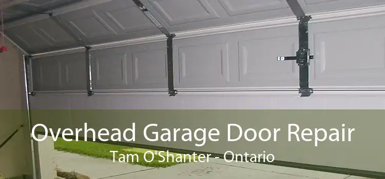 Overhead Garage Door Repair Tam O'Shanter - Ontario